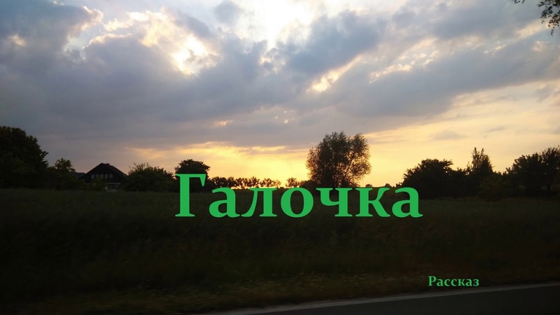Галочка.. (рассказ)
