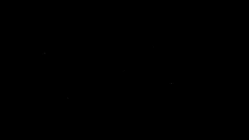 Video.Guru_20190117_160354588.mp4