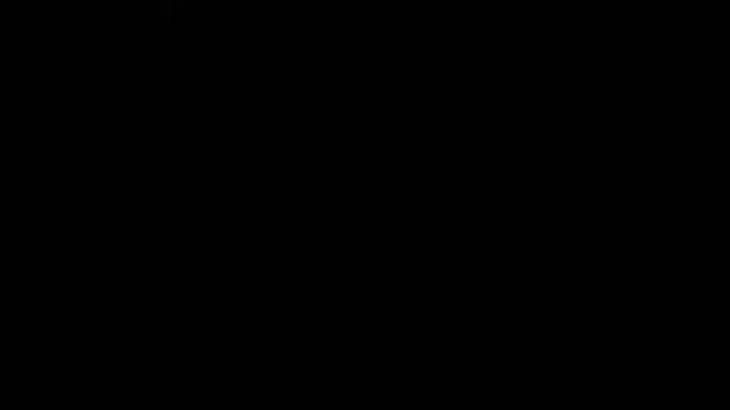 VID_228130729_130910_692.mp4