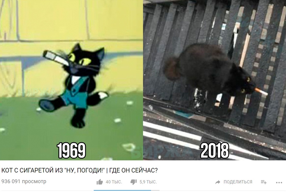 Ku7IHijQXH8.jpg