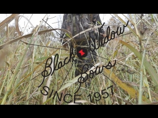 Насколько прочные луки от Черной Вдовы (Black Widow)
