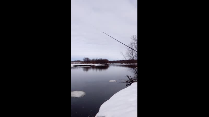 Спиннинг SALAMANDER SOLID,3-12гр
