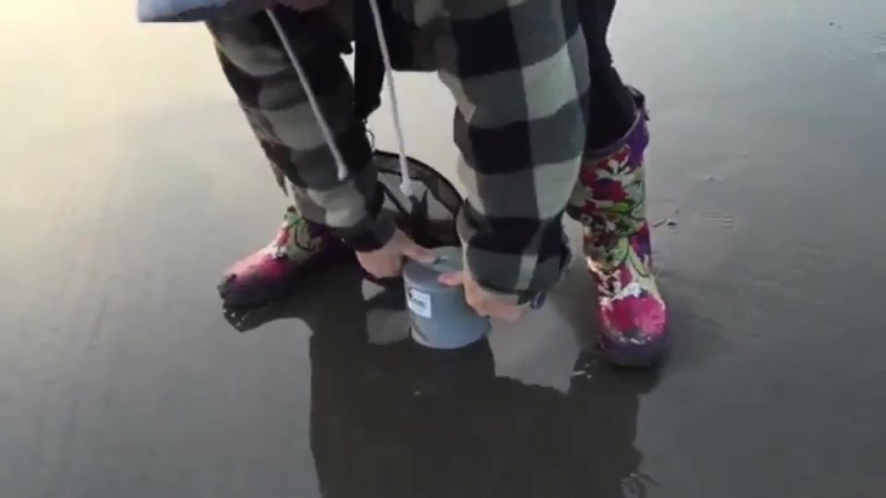The way the sand dries up around it