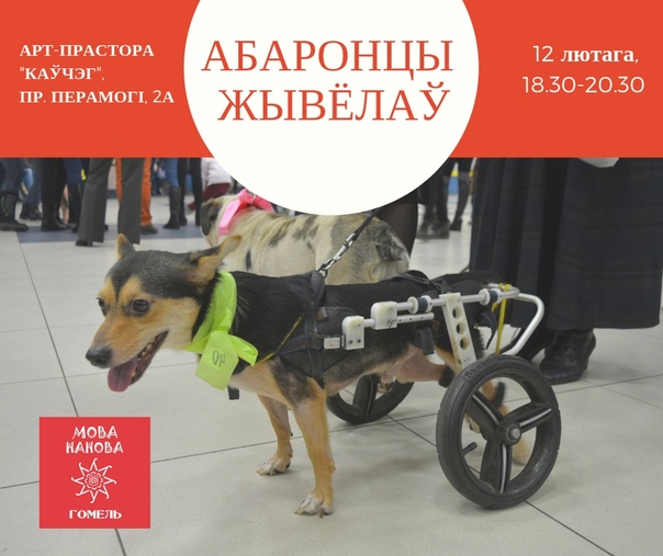 МОВА НАНОВА - ГОМЕЛЬ