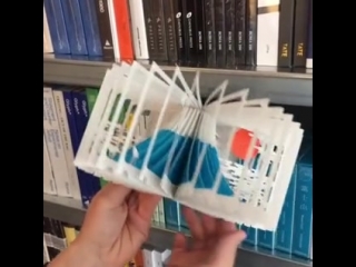 Как вам такая книга?