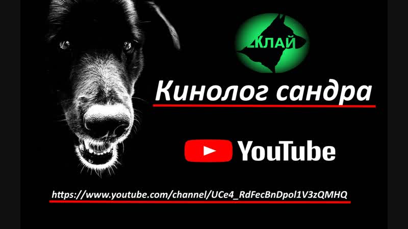 2КЛлай- Кинолог сандра YouTube