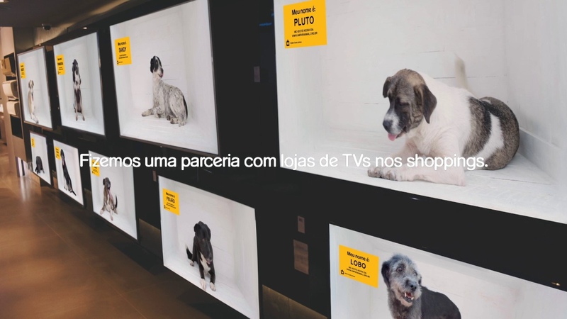 Dog Channel PEDIGREE® AlmapBBDO