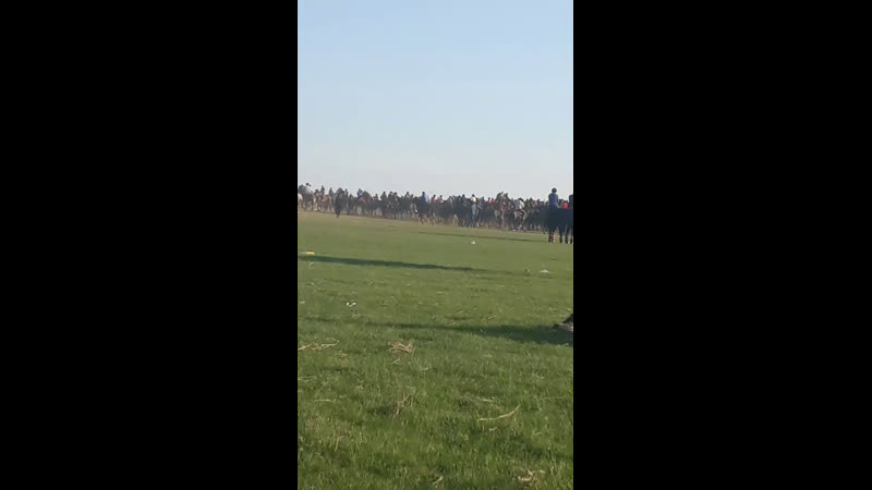 Темірлан көкпар 2019 03 24