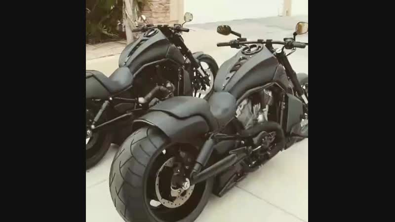 Два черных жеребца🖤💣💥