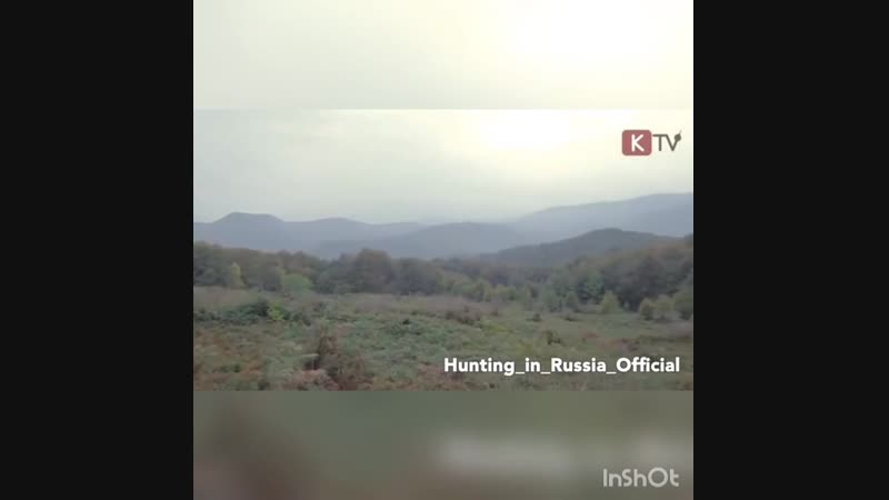 Пидорасов не видишь.mp9