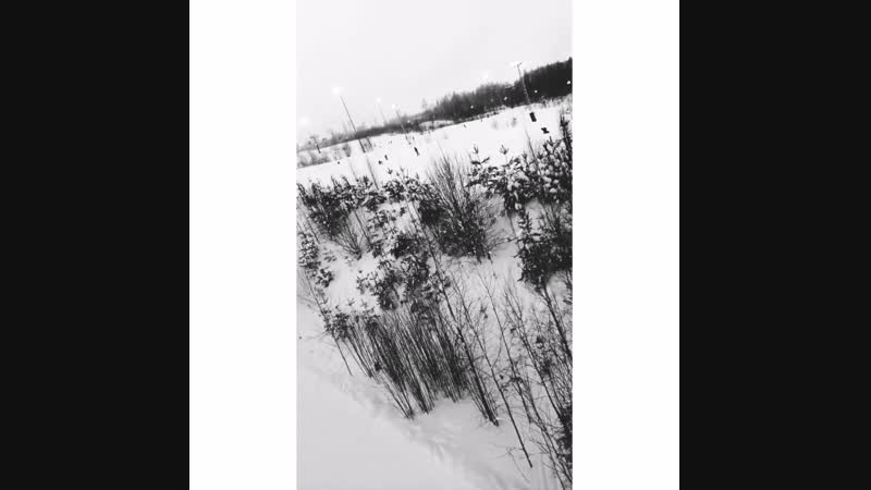 Борд 13.01.19