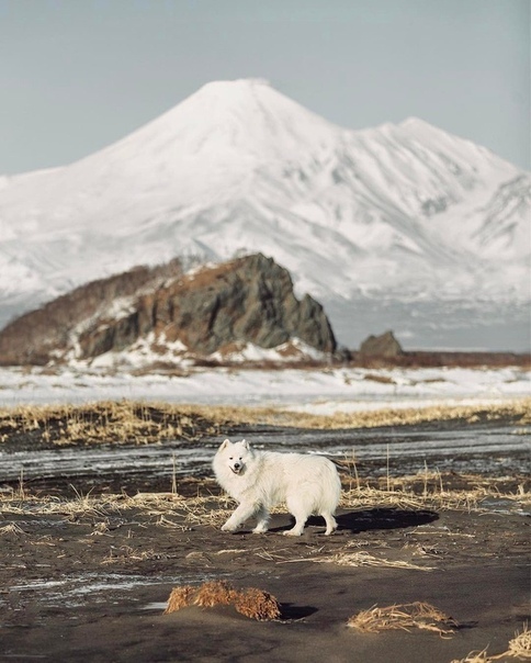Камчатка