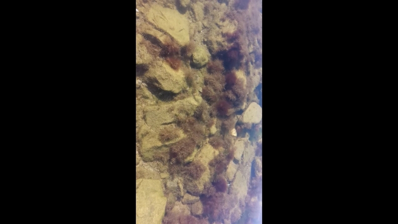 Прозрачная водичка