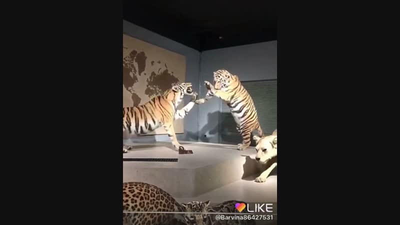 🦁супер лев