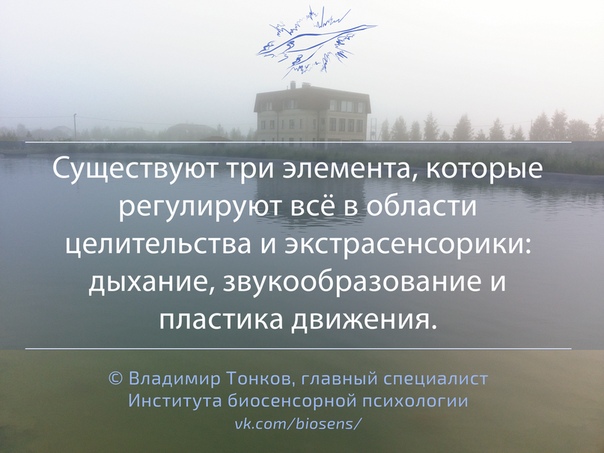 РЕГУЛИРУЮЩИЕ ЭЛЕМЕНТЫ В ЦЕЛИТЕЛЬСТВЕ 