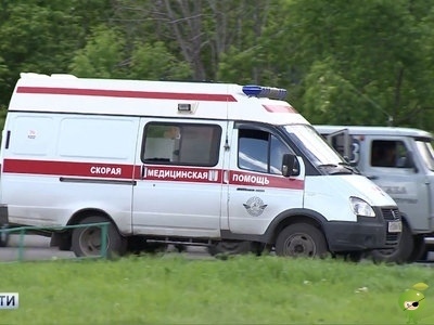 под калининградом собака, купленная две недели назад, загрызла дочь хозяев в калининградском поселке рощино собака загрызла пятилетнего ребенка, возбуждено уголовное дело по статье о причинении