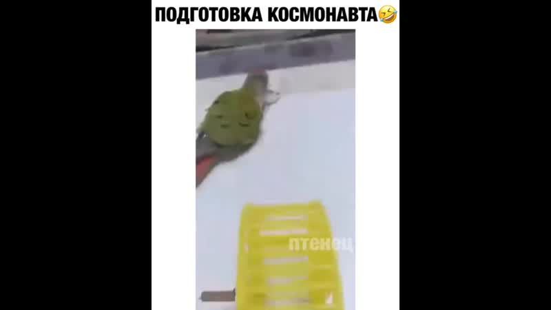 в3 Подготовка космонавта