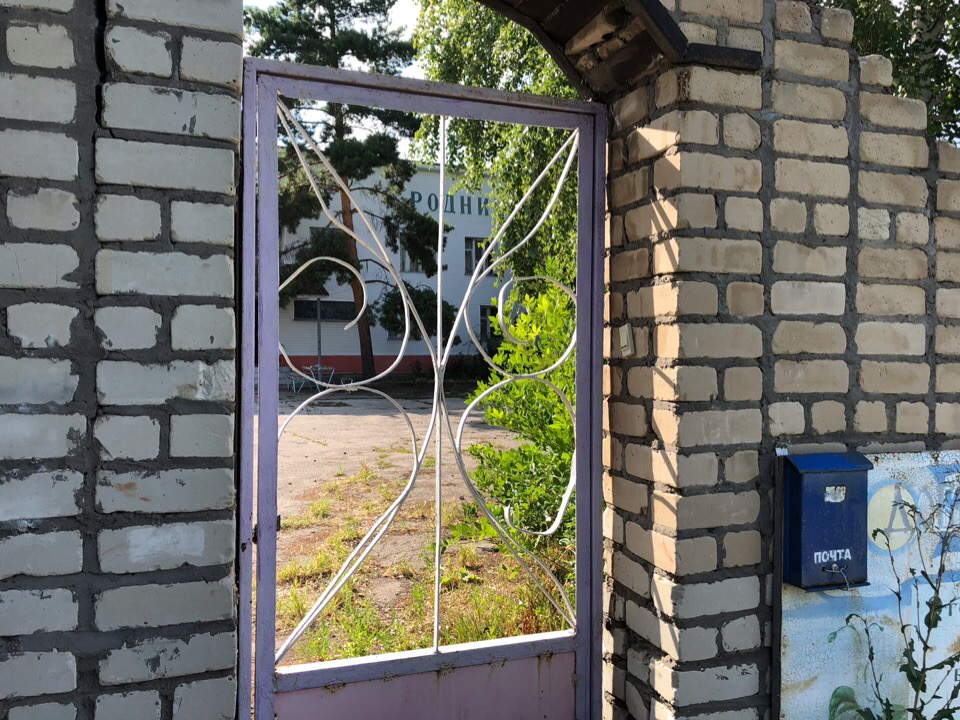 Фотография
