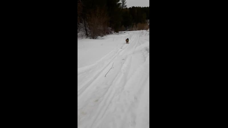 20190408_180129.mp4