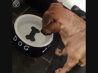 Моё повышение зарплаты