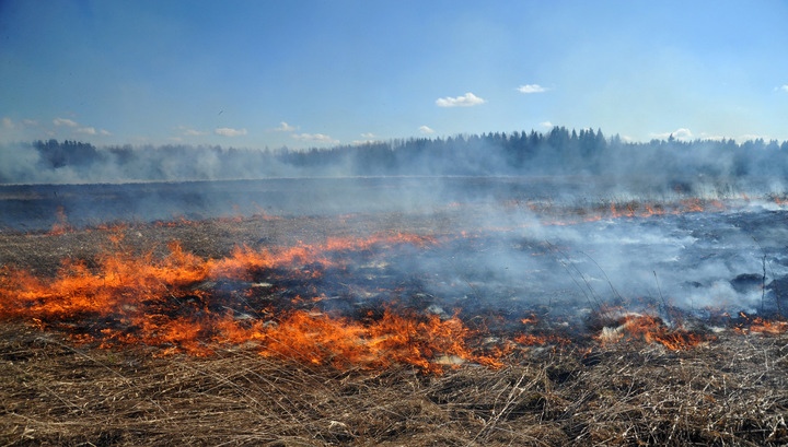 Поджоги сухой растительности и мусора – одна из основных причин возникновения лесных и степных пожаров