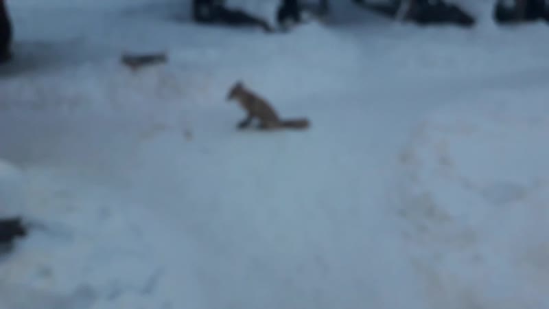 20181210_091828.mp4