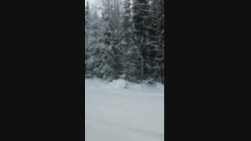 20190117_134322.mp4