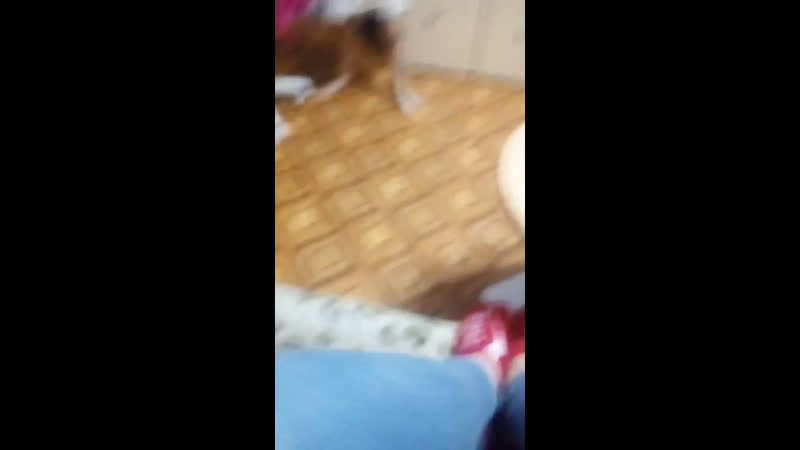 туса