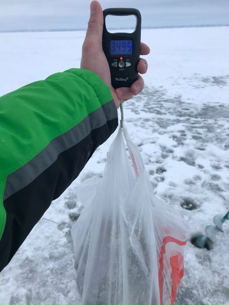 Рыбалка — Горьковское водохранилище, Нижегородская область, 57.049, 43.160