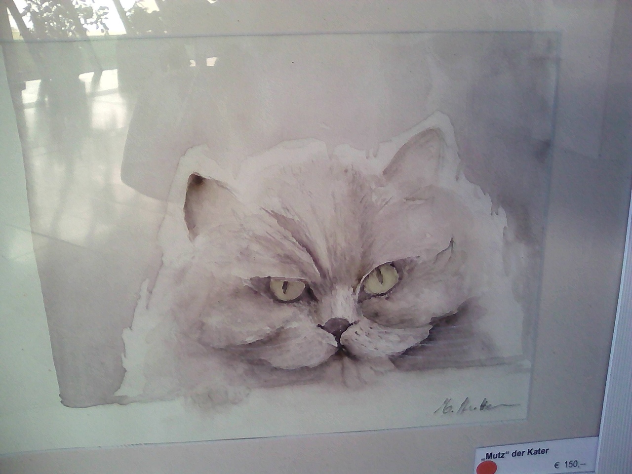 Кошки в нашей жизни. Кошки и все, что с ними связано.