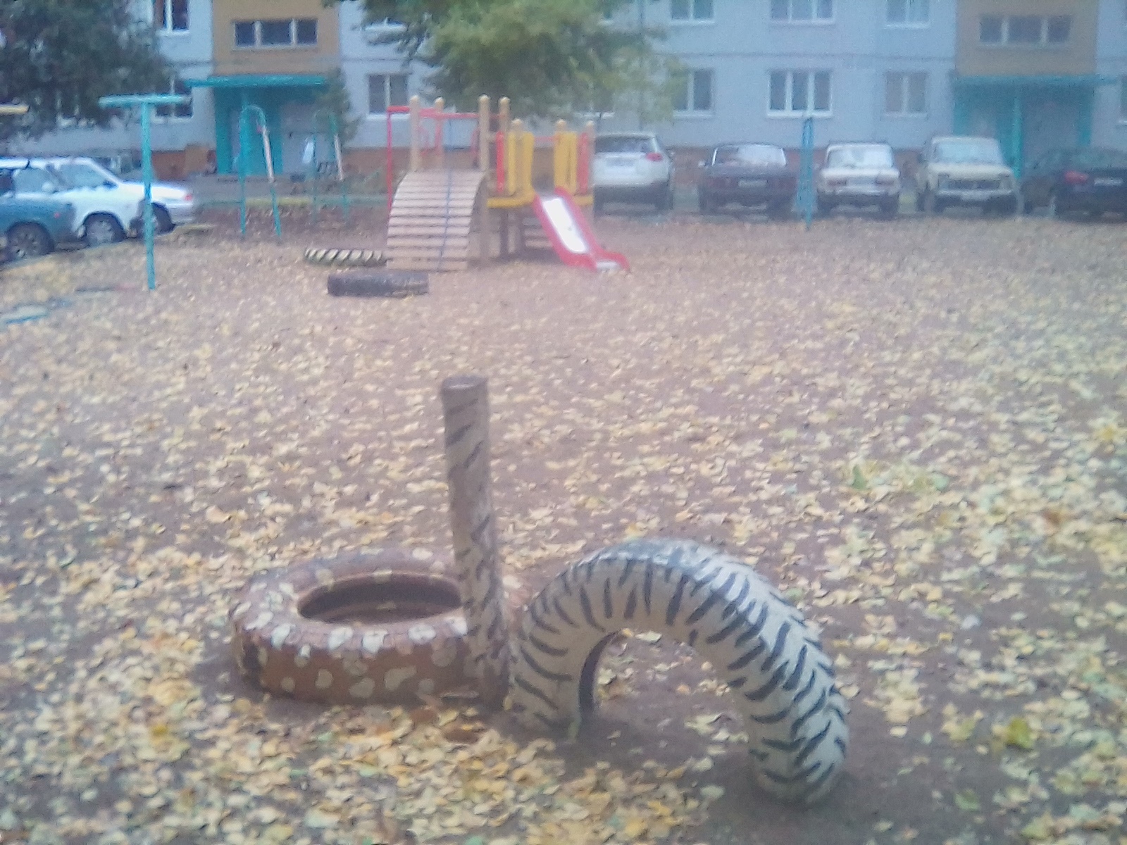 Фотография