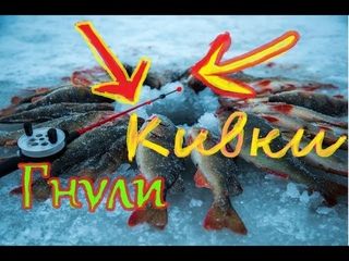 Они Дербанили Кивки Наших Удочек! Открытие Зимней рыбалки 2018 2019 Ловля живца часть 1