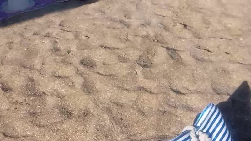 20190609_170618.mp4