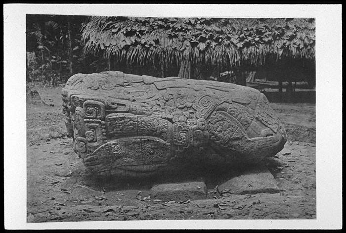 древние города майя