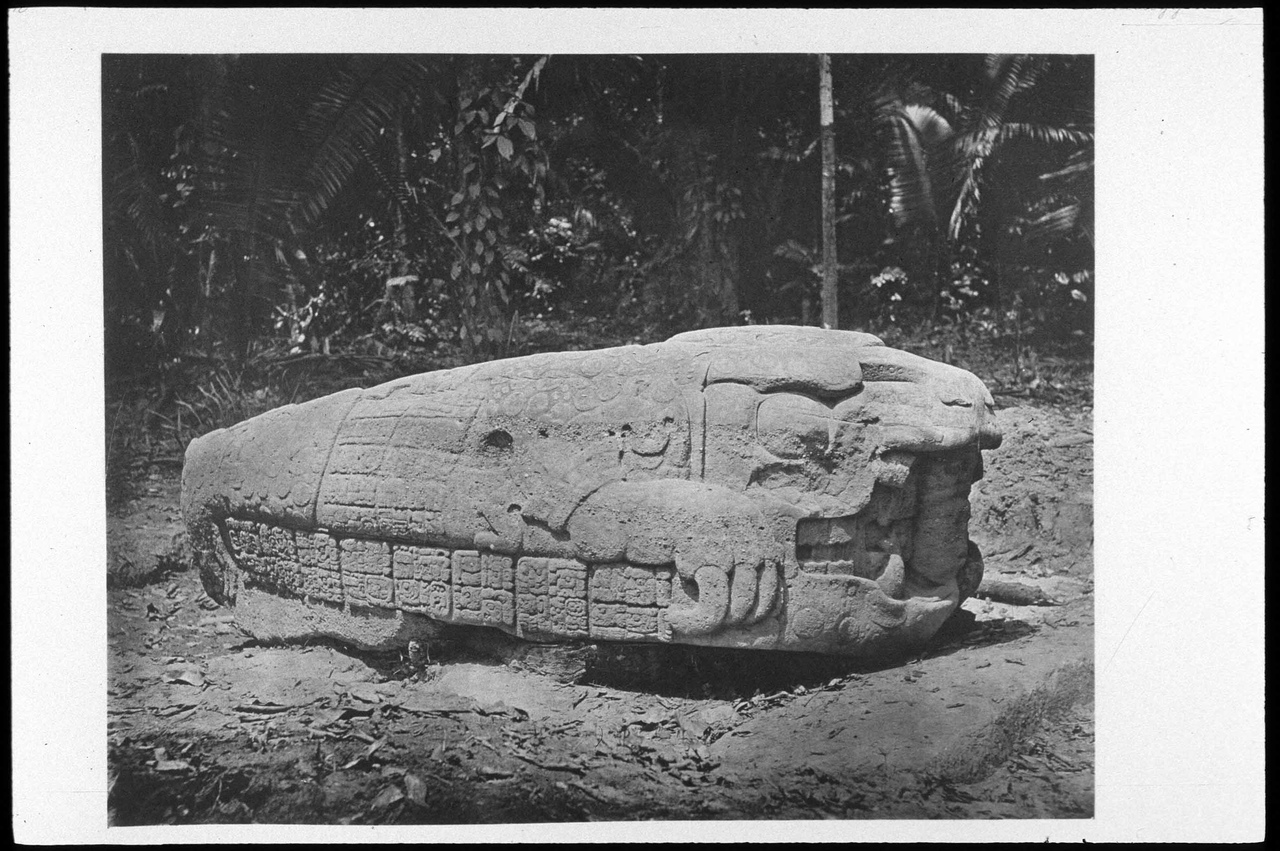 древние города майя