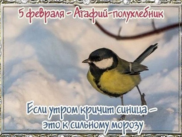 5 февраля Агафий полухлебник Дата по старому стилю: 23 января В этот день празднуются именины Агафангела. Это мужское имя греческого происхождения, означающее «Добрый вестник», на Руси носили