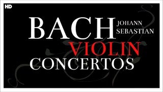 2 Hours Bach Violin Concertos | Classical Baroque Music | Focus Reading Studying