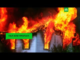 Варварская традиция: чем опасны поджоги травы