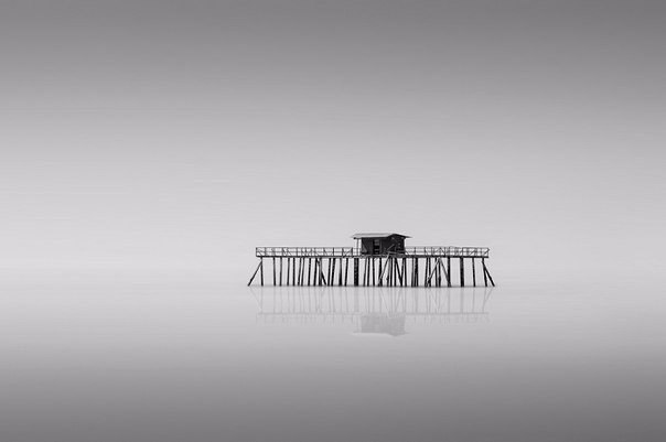 8 великолепных фотографий победителей фотоконкурса Smithsonian 2015 Объявлены победители ежегодного Смитсоновского фотоконкурса, в котором состязались более 26 тысяч снимков от участников из