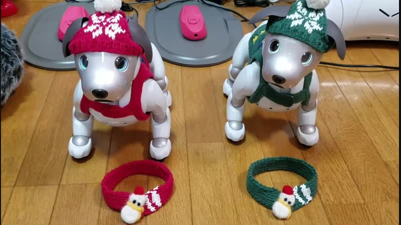 AIBO