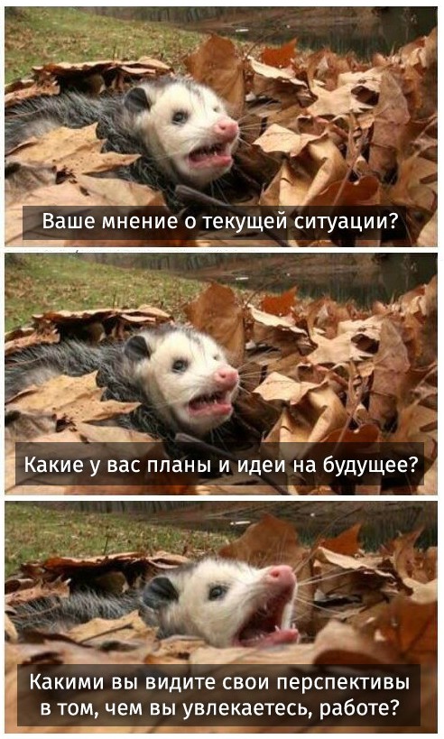 https://pp.userapi.com/c850428/v850428623/233f9/3ESTqTPMr6U.jpg