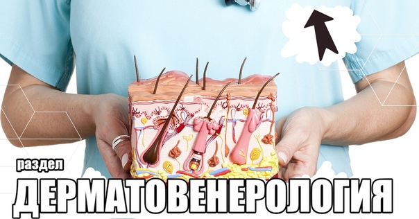 Каждый месяц по 5 новинок! 