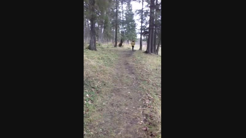 AndroVid_join_8156_9994.mp4