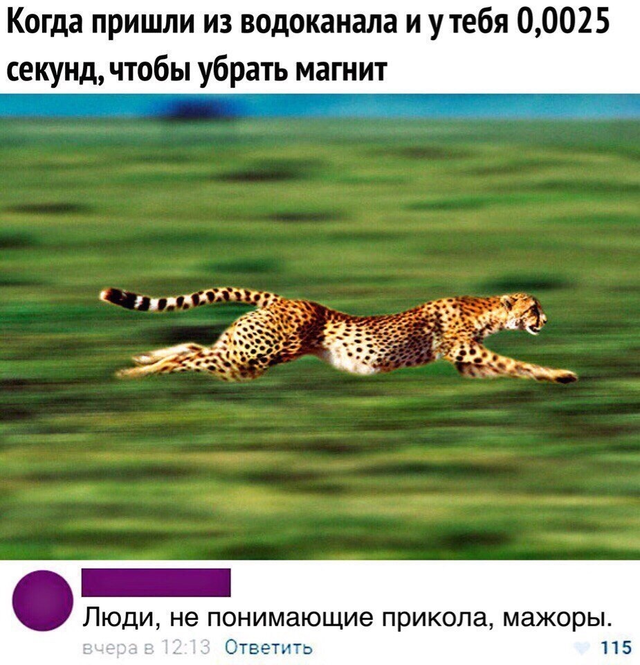 1YQocSM2eoA.jpg