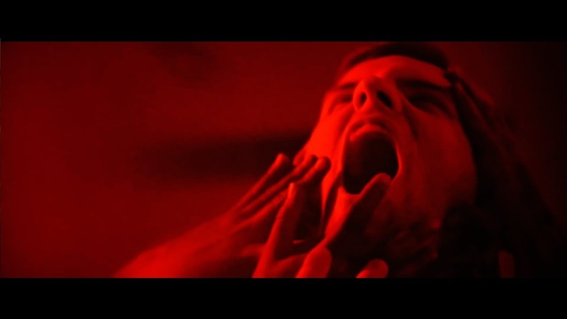 Fail To Decay - Paralysis