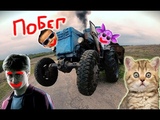 Приколы с котами с ОЗВУЧКОЙ – ЛУНТИК - ГАРРИ ПОТТЕР и МИСТЕР МАКС - Смешные коты и кошки - Domi Show