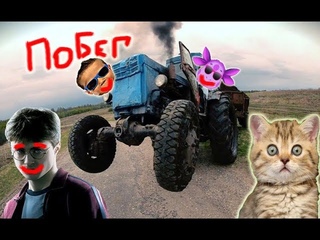 Приколы с котами с ОЗВУЧКОЙ – ЛУНТИК - ГАРРИ ПОТТЕР и МИСТЕР МАКС - Смешные коты и кошки - Domi Show