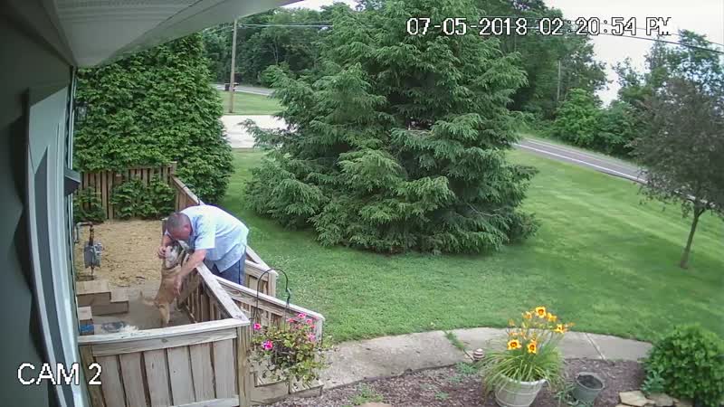 I take it my mailman is a dog lover.