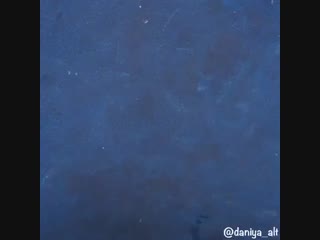 Сегодня на обед лёгкий томатный крем-суп?