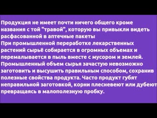 Лекарственые растения Лечитесь на здоровье